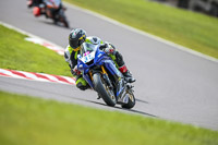 Oulton-Park-21st-March-2020;PJ-Motorsport-Photography-2020;anglesey;brands-hatch;cadwell-park;croft;donington-park;enduro-digital-images;event-digital-images;eventdigitalimages;mallory;no-limits;oulton-park;peter-wileman-photography;racing-digital-images;silverstone;snetterton;trackday-digital-images;trackday-photos;vmcc-banbury-run;welsh-2-day-enduro